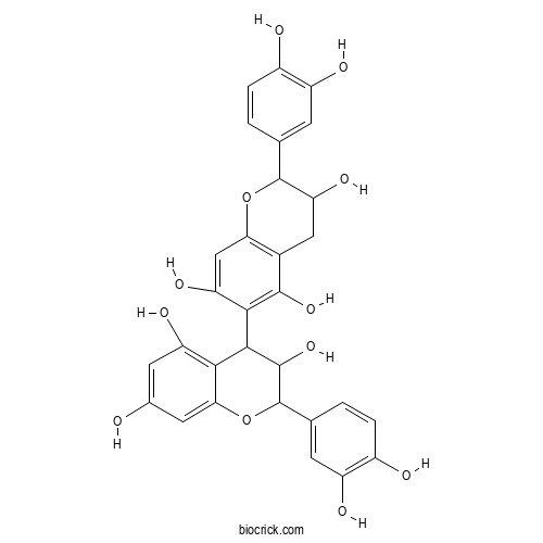 Procyanidin B7