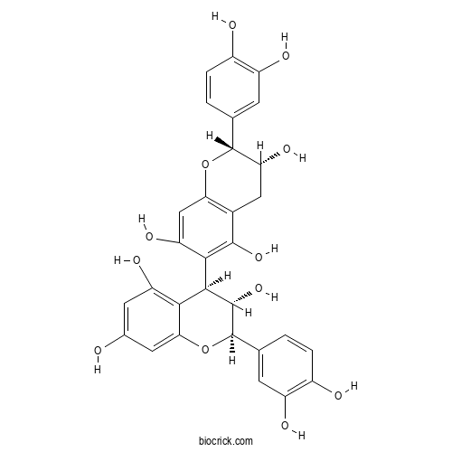 Procyanidin B8