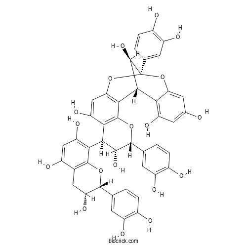 Cinnamtannin B1