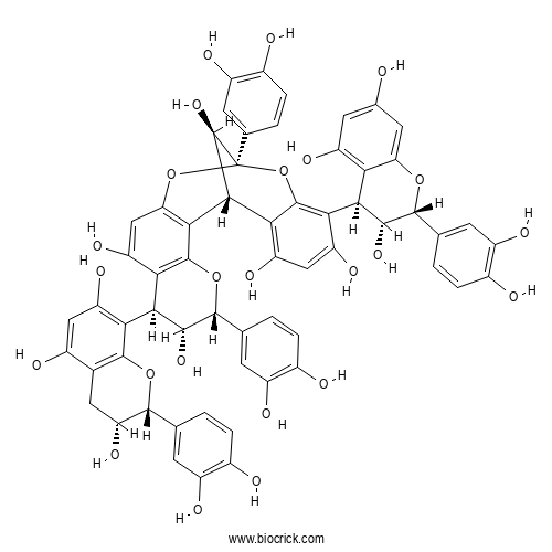 Cinnamtannin B2