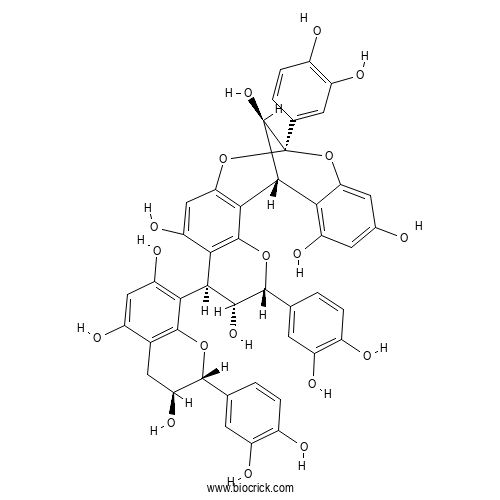 Cinnamtannin D1