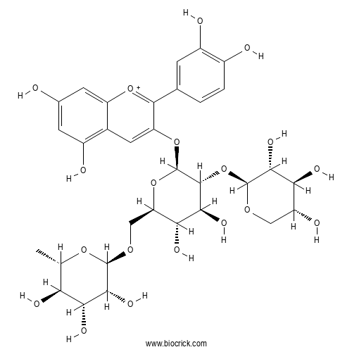 矢车菊素-3-木糖基芸香糖苷