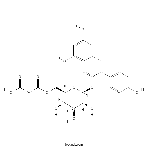 天竺葵素-3-O-[6-O-丙二酰基]-β-D-葡萄糖苷