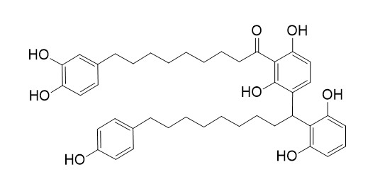 Maingayone B