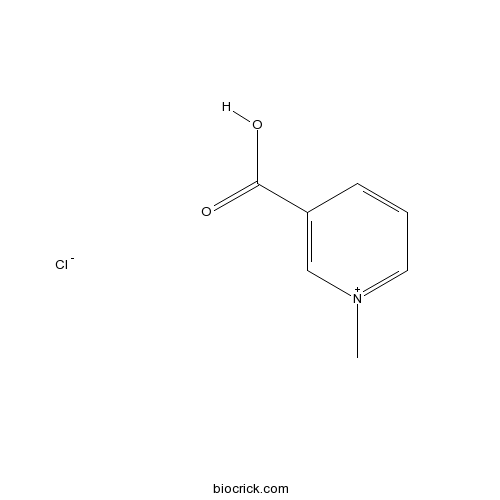 Trigonelline hydrochloride