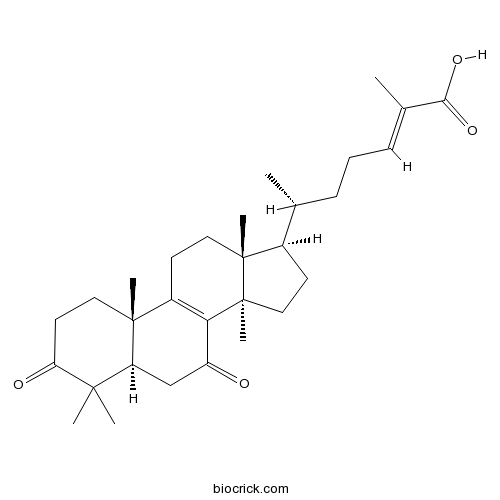 Ganoderic acid DM