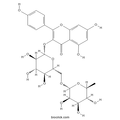 山奈酚-3-O-芸香糖苷
