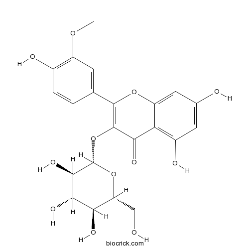 Isorhamnetin-3-O-beta-D-Glucoside