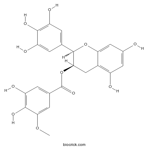 エピガロカテキン3‐(3‐O‐メチルガラート)