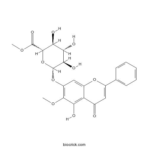 千层纸素A-7-0-β-D-葡萄糖醛酸苷甲酯