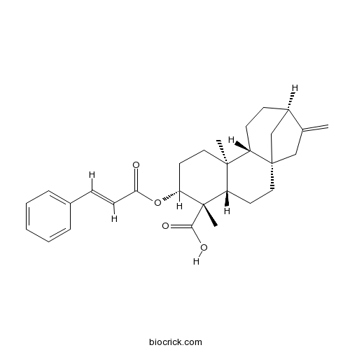 ent-3β-Cinnamoyloxykaur-16-エン-19-酸