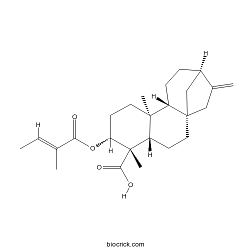 ent-3β-チグロイルオキシ-kaur-16-エン-19-酸