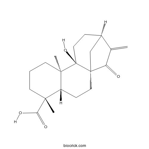 ent-9-Hydroxy-15-oxo-16-kauren-19-oic acid