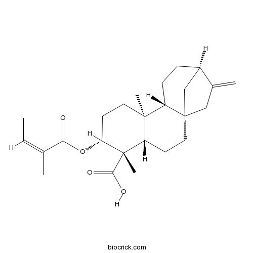 ent-3β-アンゲロイルオキシ-kaur-16-エン-19-酸