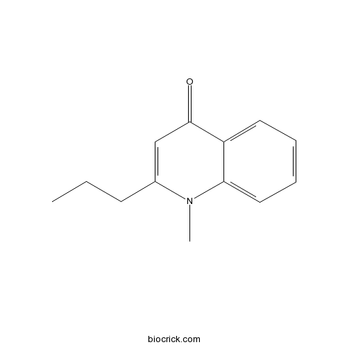 Leptomerine