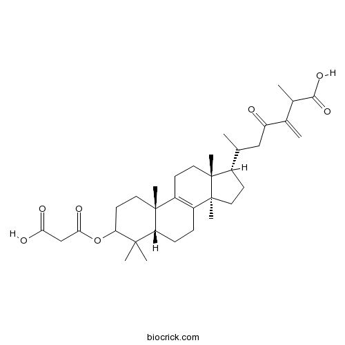 24(31)-Dehydrocarboxyacetylquercinic acid