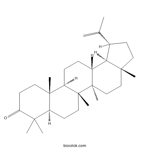 羽扇烯酮