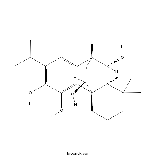 6-Epidemethylesquirolin D