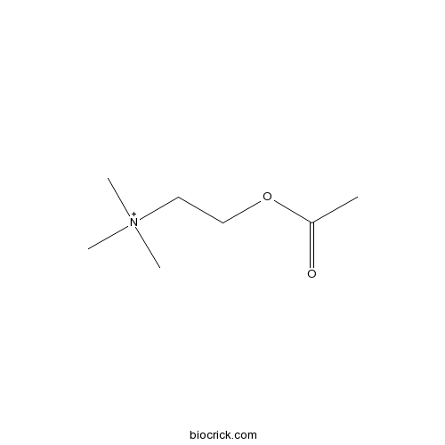 (2-Acetoxyethyl)trimethylammonium