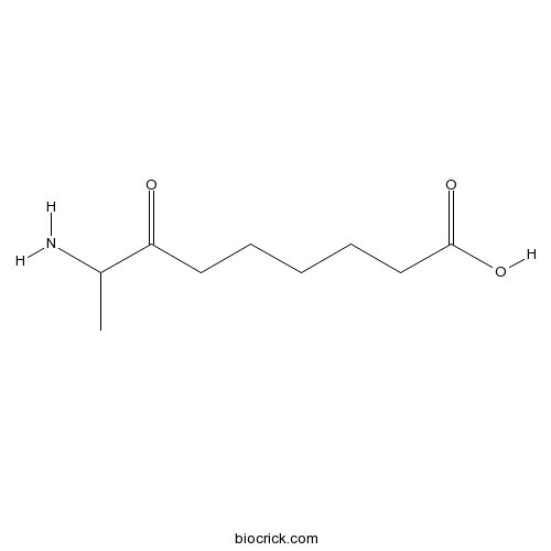 8-Amino-7-oxononanoic acid