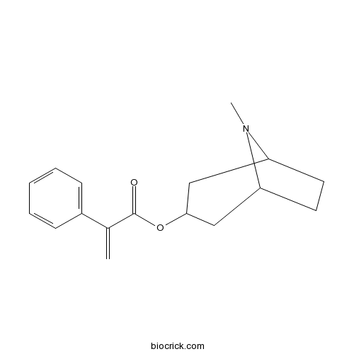 Apoatropine