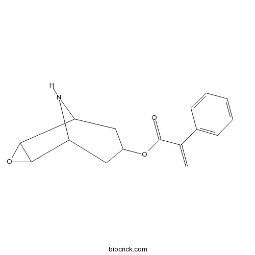 Aponorhyoscine