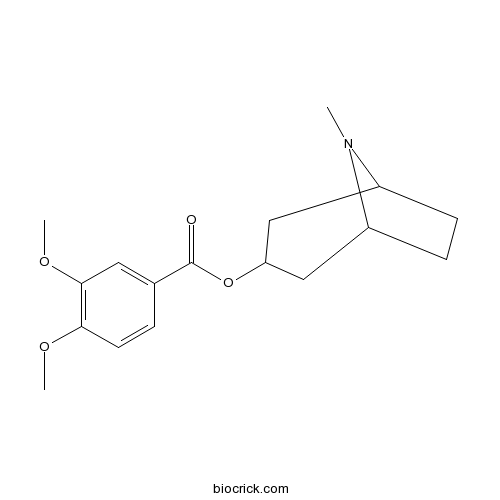 Convolamine