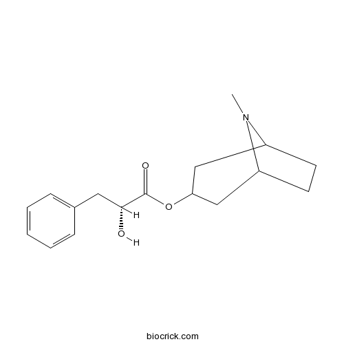 Littorine