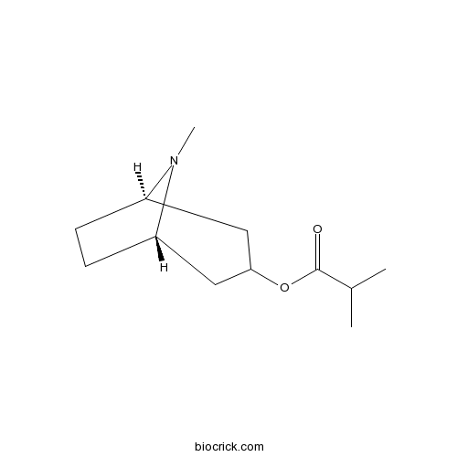 Tropine isobutyrate