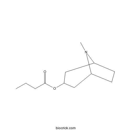 3-丁酰基莨菪烷