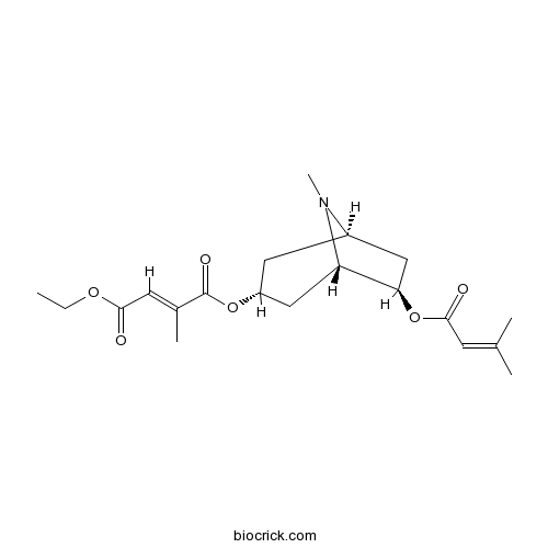 Schizanthine A