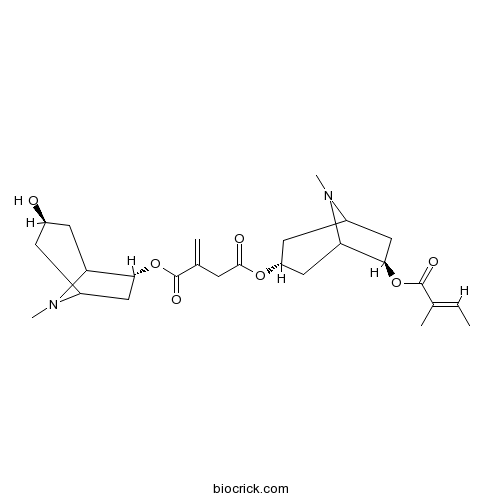 Schizanthine E