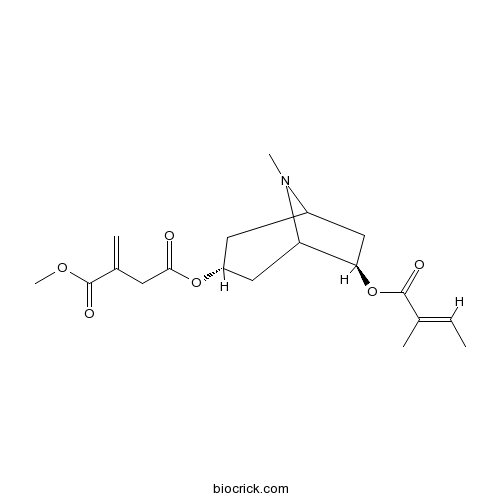 Schizanthine G