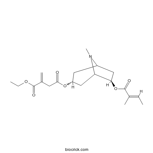 Schizanthine M