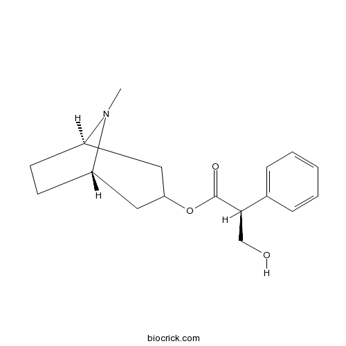 Hyoscyamine