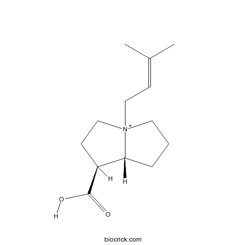 Anodendrine