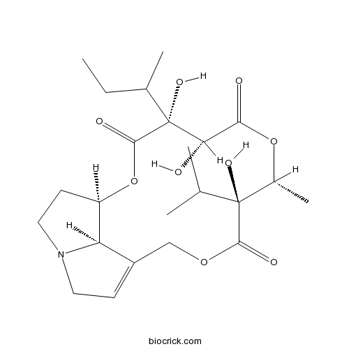 17-Methylparsonsianidine