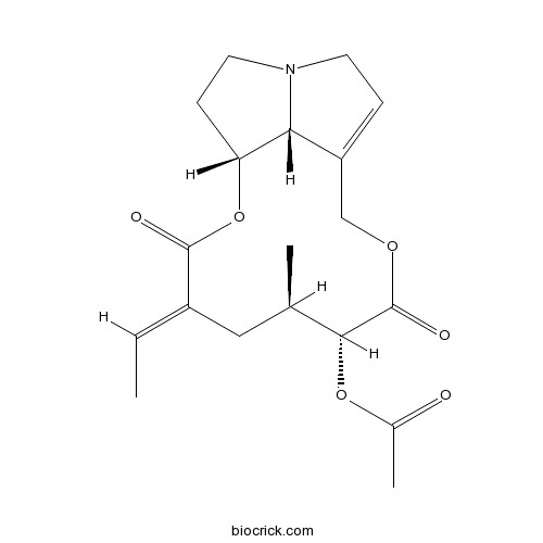 Crotastriatine