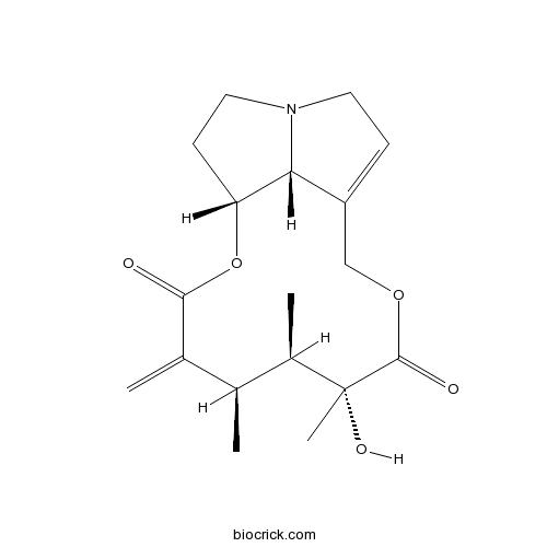 Senecivernine