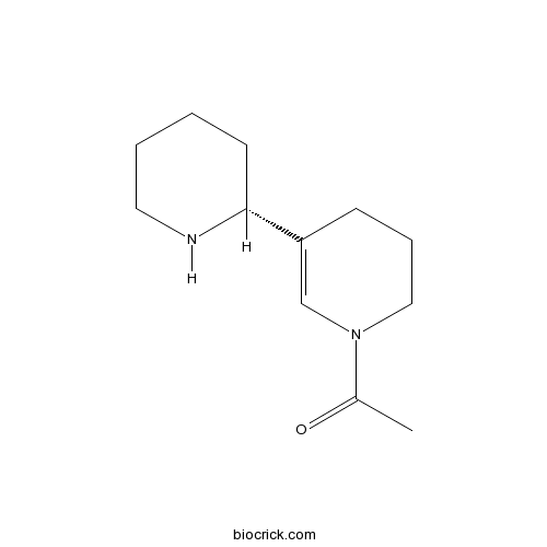 Isoammodendrine