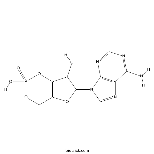 腺苷环磷酸酯