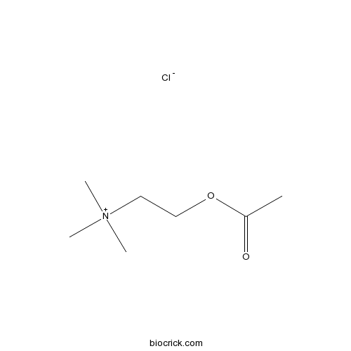 氯化乙酰胆碱； 乙酰氯化胆碱