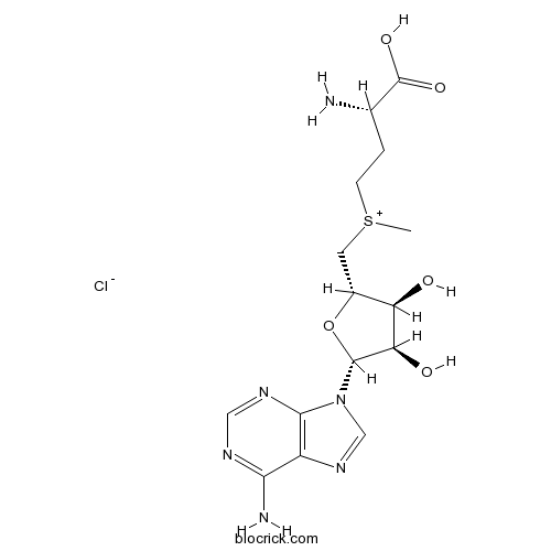 S-(5'-Adenosyl)-L-methionine chloride