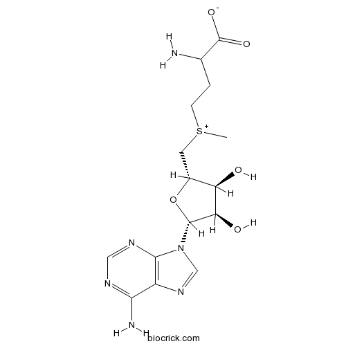 S-腺苷蛋氨酸