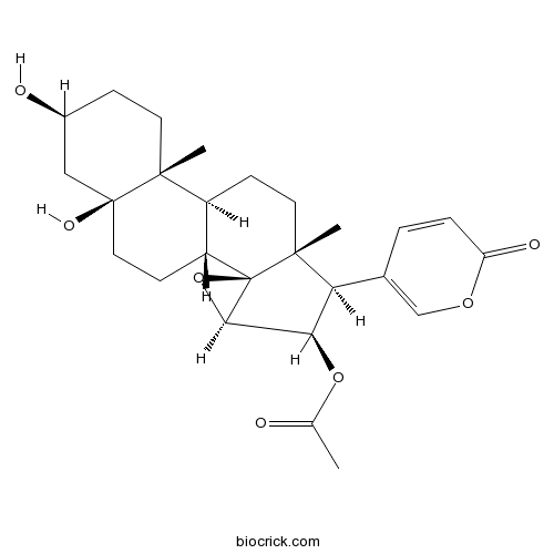 Cinobufotalin