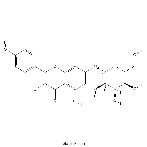 Kaempferol-7-O-D-glucopyranoside