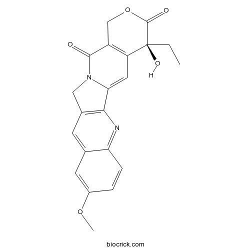 10-Methoxycamptothecin