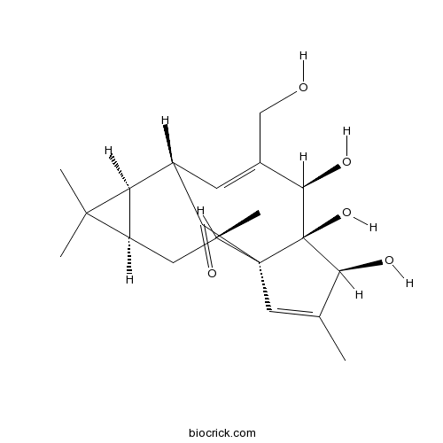巨大戟二萜醇