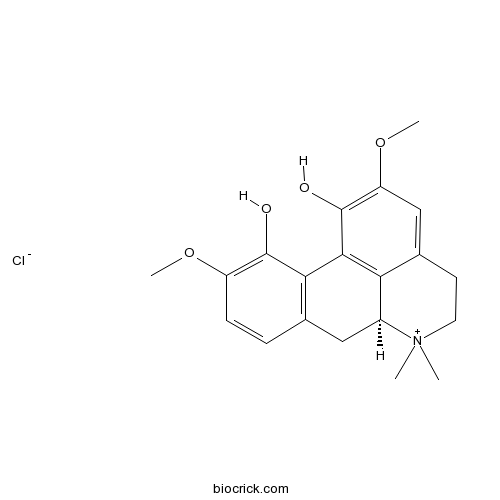 Magnoflorine chloride