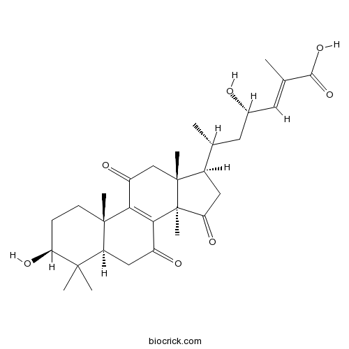 Ganoderic acid Z